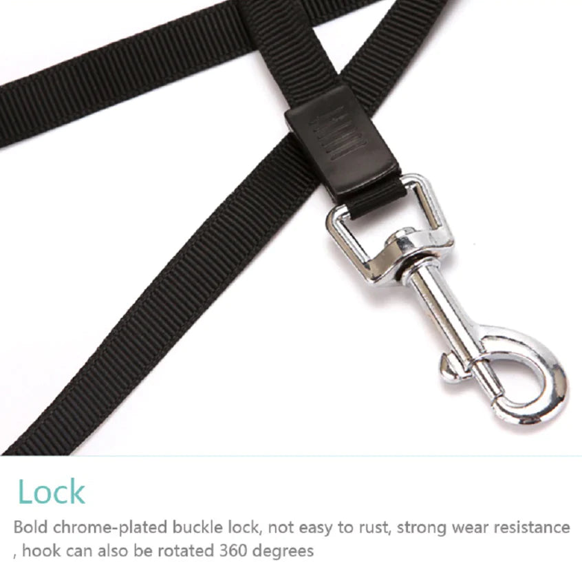 16.5FT Automatic Retractable Dog Leash with Pet Collar - Hands-Free Walking Lead - Free Shipping in the US